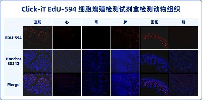 1644628177816205211(001)