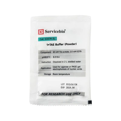 1×tampão TAE (pó)