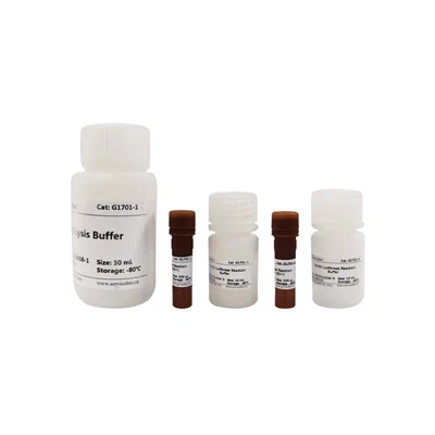 Kit de ensaio genético Dual-Lumi Dual-Luciferase Reporter