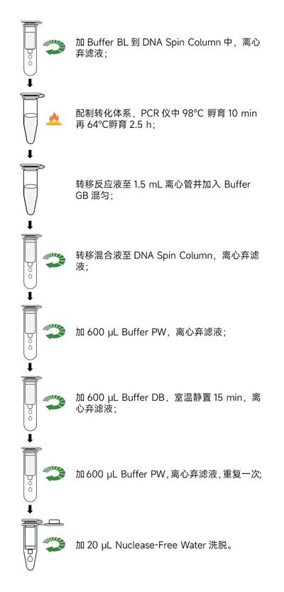 Kit de conversão de bissulfito de DNA MethylGold