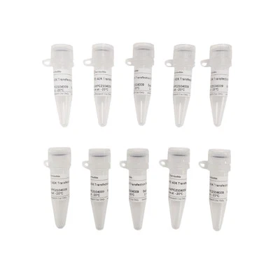 Reagente de transfecção PEI 40K